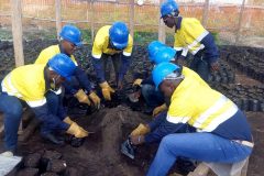 Environment Team preparing nurseries Environment Team preparing nurseries
