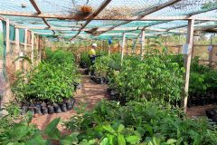 Nursery Nursery