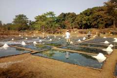 Solar Salt Solar Salt